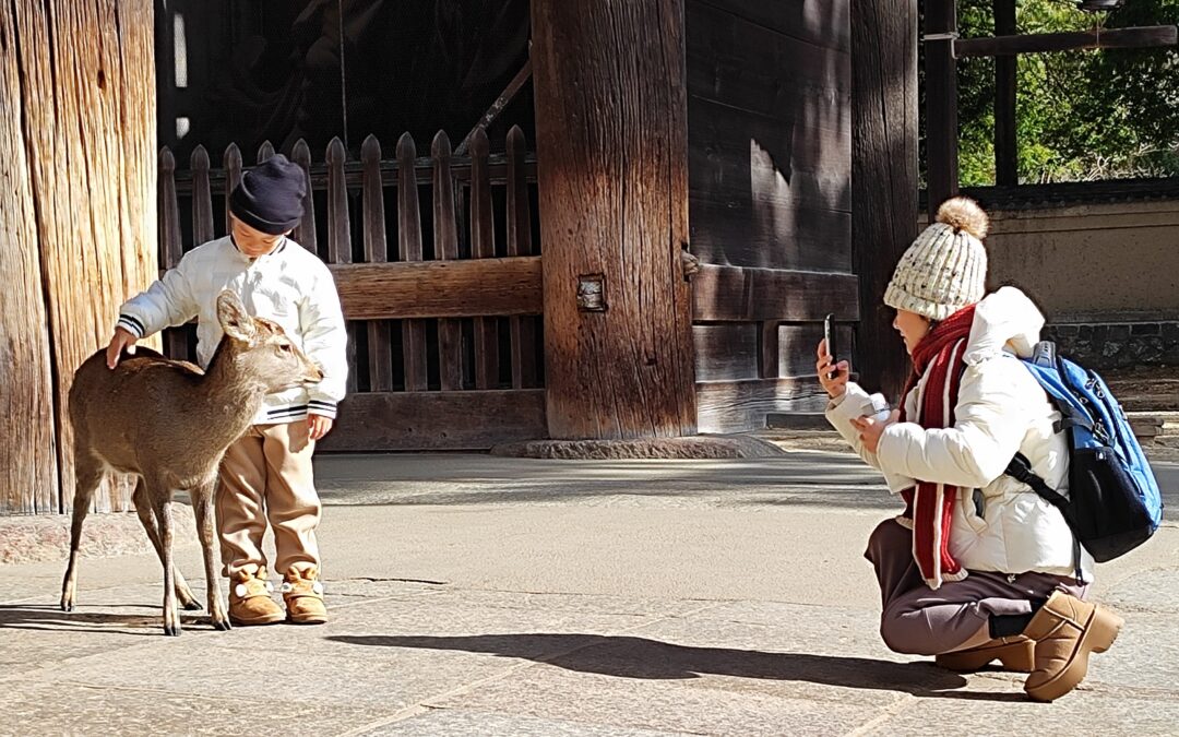 Nara: Japans erste Kaiserstadt