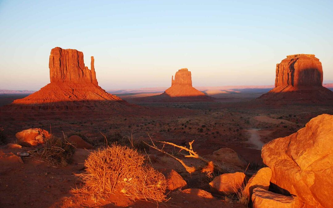 Film ab in Arizona: Oscar-prämierte Roadmovies und Kultklassiker