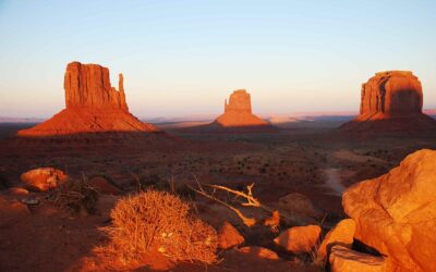 Film ab in Arizona: Oscar-prämierte Roadmovies und Kultklassiker