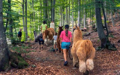 Tessin im Sommer 2025: Sport – Natur und Erlebnisse